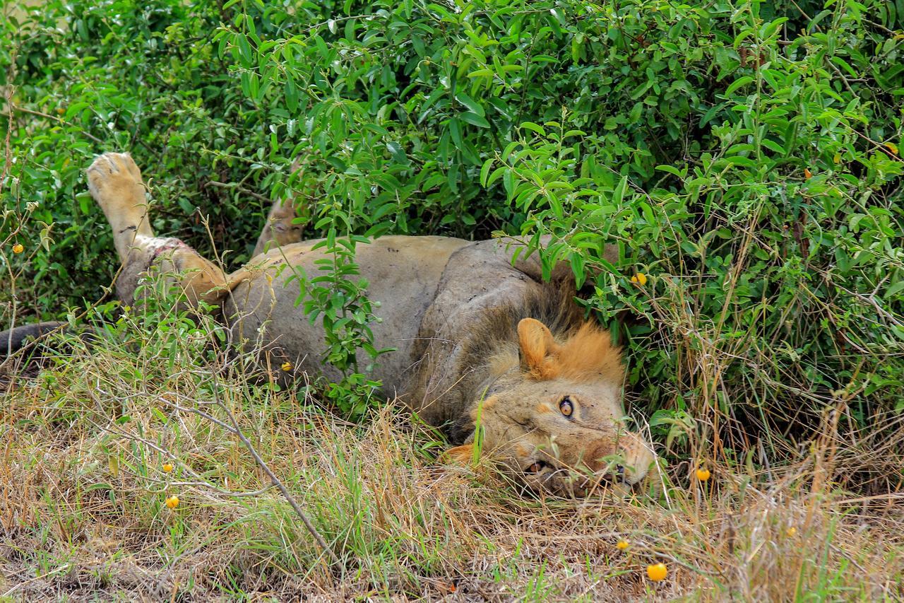 Wild Tracks Overland Camp Kasese Luaran gambar